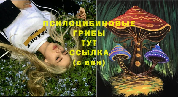 винт Алексеевка