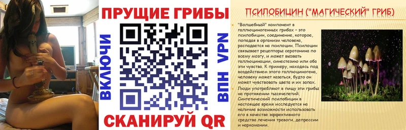 закладки Алупка Псилоцибиновые грибы ЛСД